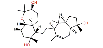Sipholenol A